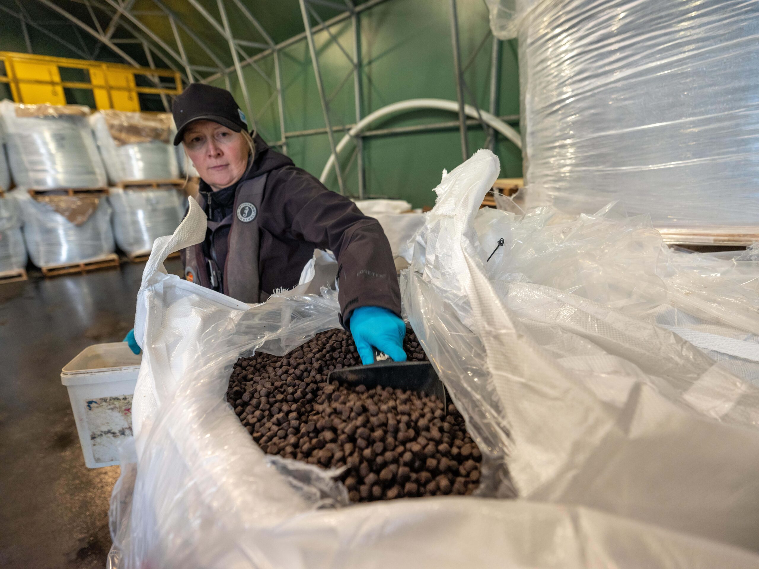 Feed being scooped out of a bag